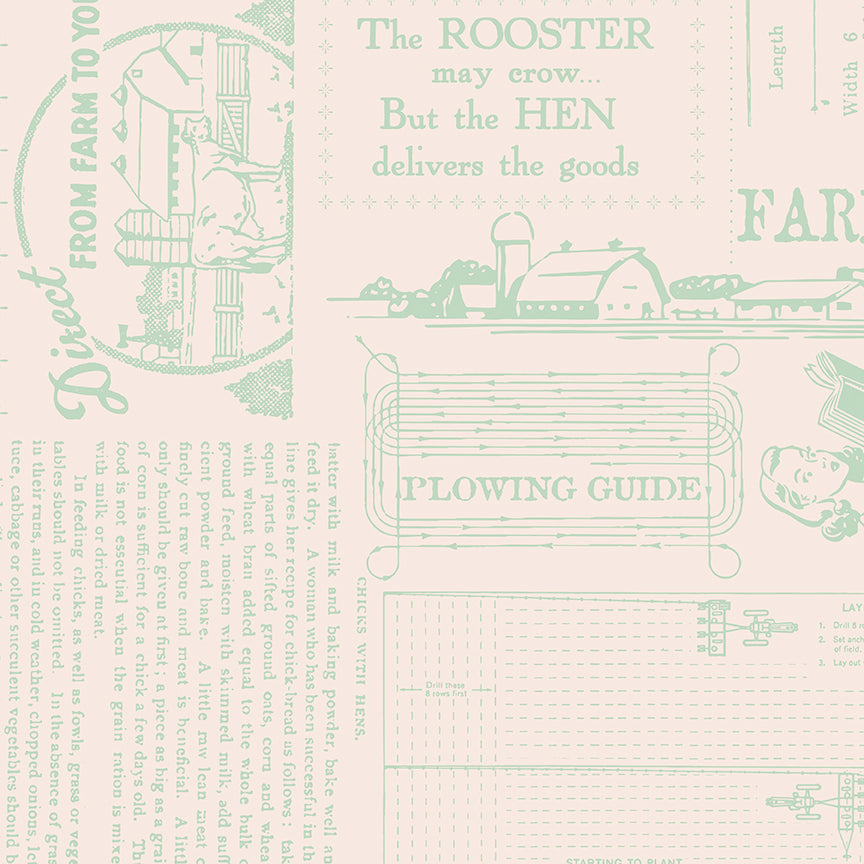 Riley Blake FARMERS DAUGHTER Quilting Fabric Farm Life Sage WIDE BACK