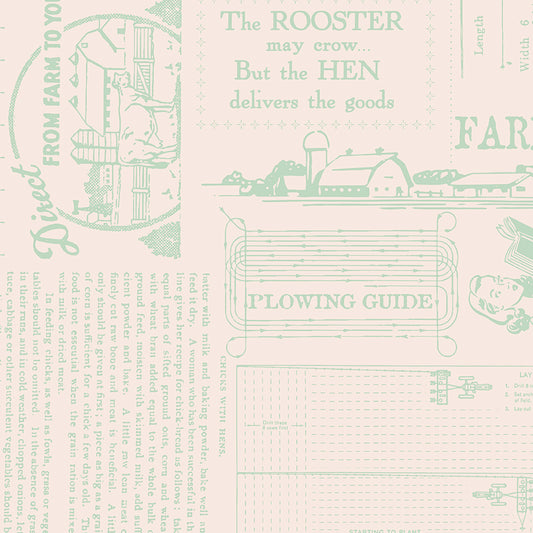 Riley Blake FARMERS DAUGHTER Quilting Fabric Farm Life Sage WIDE BACK